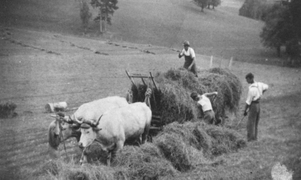 La vie à St Appolinaire au 19ème siècle